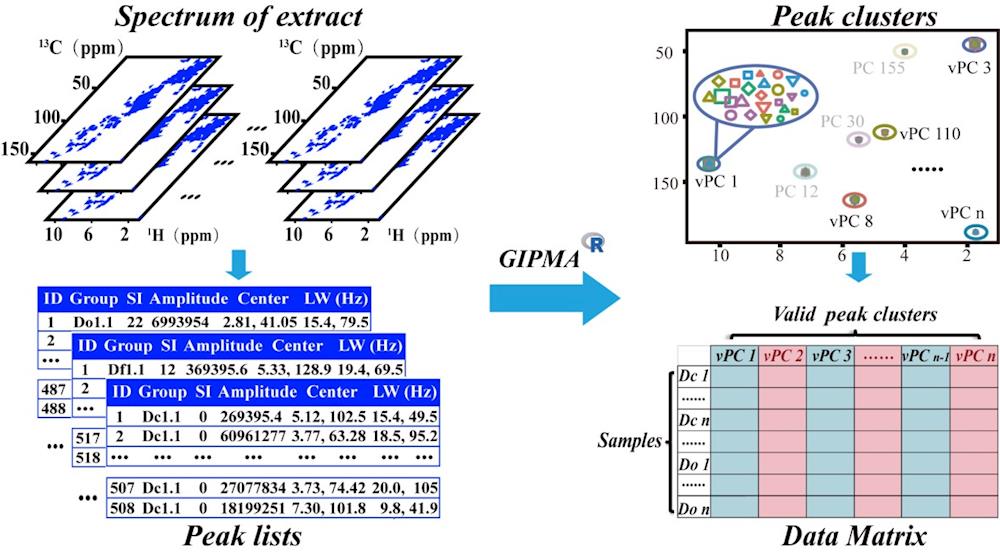 我校學者在二維核磁共振代謝組學數(shù)據(jù)前處理方法開發(fā)中取得進展 