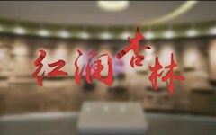 學(xué)校黨建工作品牌——“紅潤(rùn)杏林”