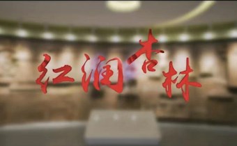 “紅潤杏林”宣傳片