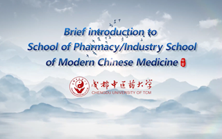 2024 Enrollment Promotion Video  from School of Pharmacy