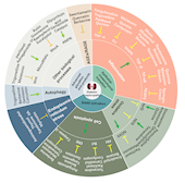 我校學(xué)者在《Pharmacology & Therapeutics》發(fā)表天然產(chǎn)物治療糖尿病腎病的論述