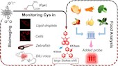 實驗室學(xué)者在《Food Chemistry》發(fā)表熒光探針在藥物性肝損傷和食品中Cys監(jiān)測相關(guān)研究成果