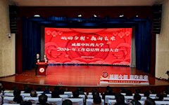 學(xué)校隆重舉行2024年度工作總結(jié)暨表彰大會(huì)