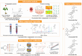 實驗室在《Food Chemistry》發(fā)表基于藥效團模型、系統(tǒng)分離與苦味示蹤技術(shù)整合策略的三七苦味物質(zhì)發(fā)現(xiàn)與驗證相關(guān)研究成果