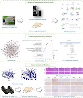 實驗室在《Arabian Journal of Chemistry》發(fā)表藏藥十五味賽爾斗丸重要研究成果