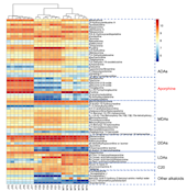 實驗室在《Journal of Ethnopharmacology》發(fā)表川烏各部位代謝物分析及毒性評價的最新成果